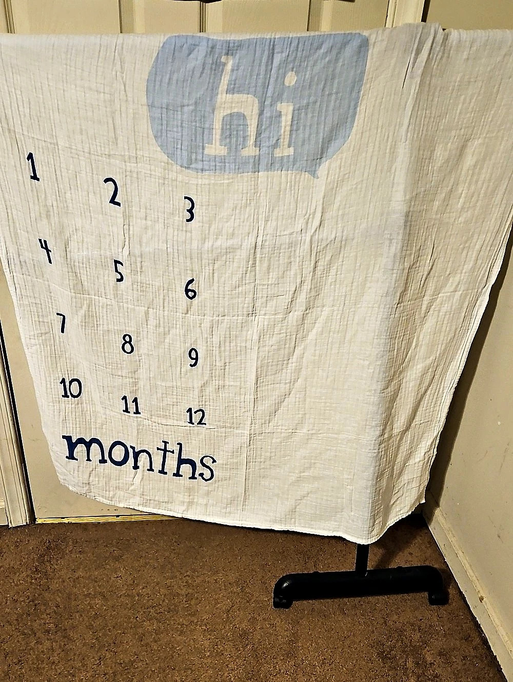 Cloud Island Muslin Milestone Blanket